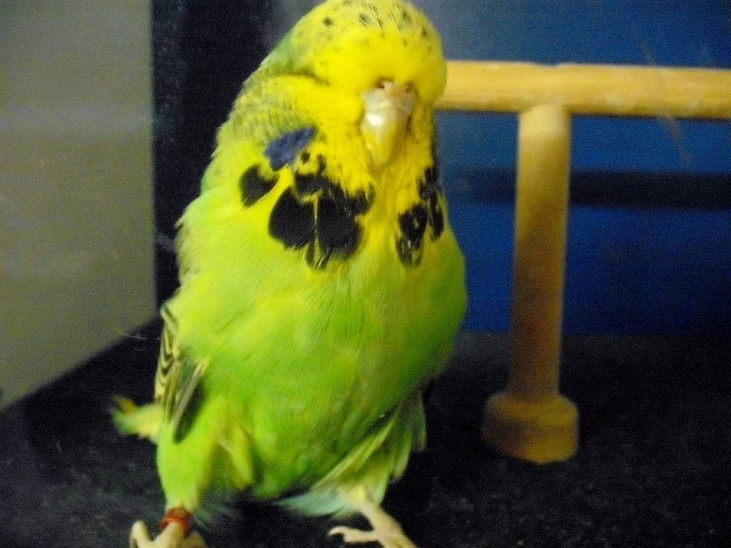 2012 005.jpg